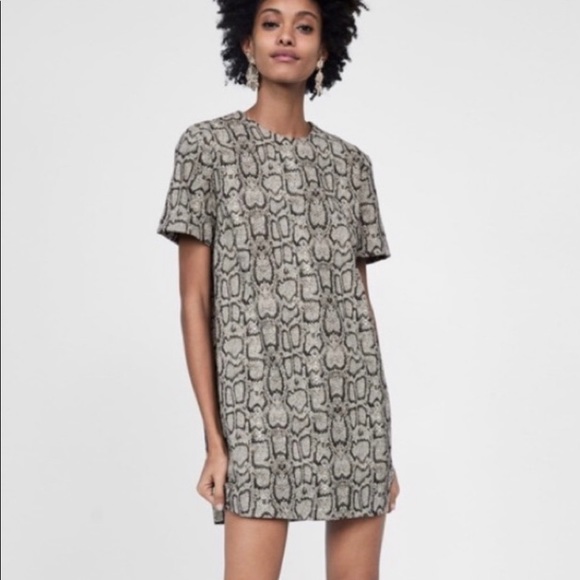 zara snakeskin dress